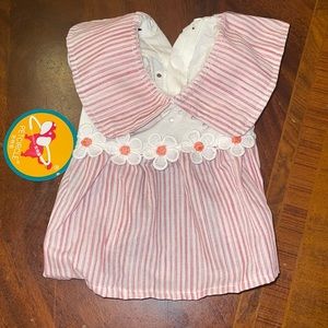 Xs Dog Strip with Flowers Dress Pet Circle